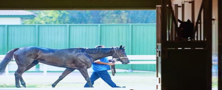 Dubai Racing Stable